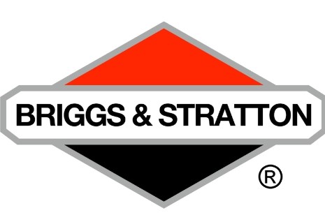  dans le groupe Pièces De Rechange / Pièces détachées Briggs & Stratton chez GPLSHOP (262626)