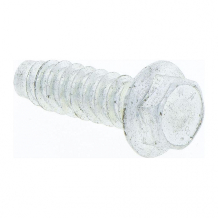 Vis Husqvarna, Stc 6Sf 5.5X19 5032106-19 dans le groupe Pièces De Rechange / Pièces détachées Débroussailleuses / ➤Série 300 / Pièces détachées Husqvarna 335FR chez GPLSHOP (5032106-19)