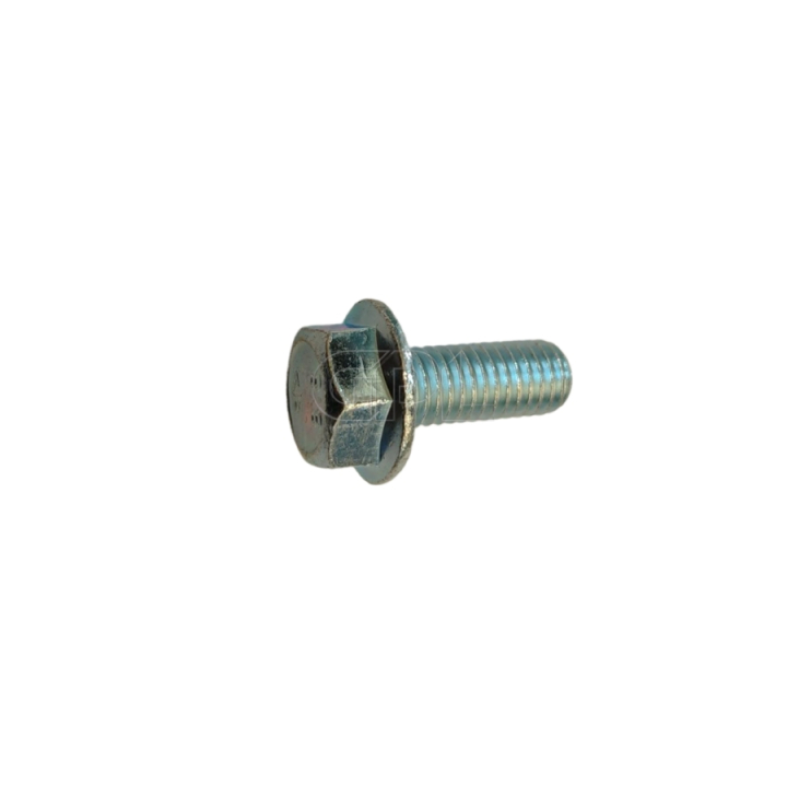 Noix 5196534-33 dans le groupe  chez GPLSHOP (5196534-33)