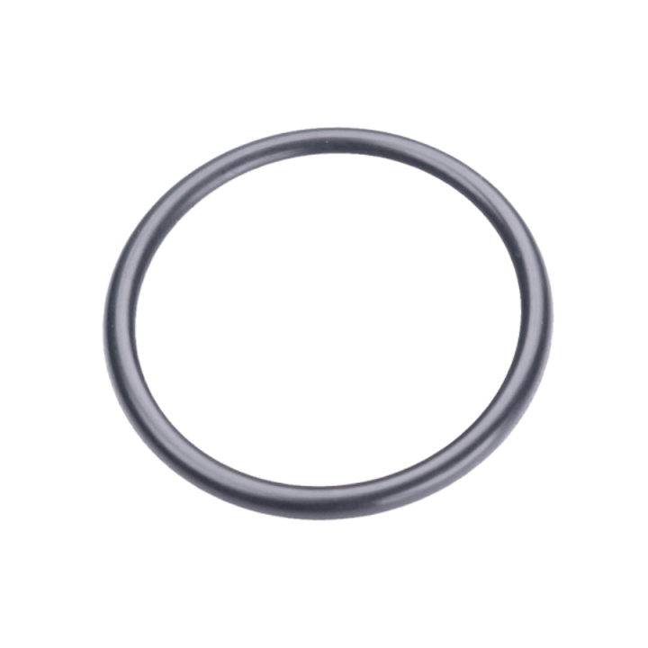 Joint Torique 21.5X1.5 5203999-01 dans le groupe chez GPLSHOP (5203999-01)