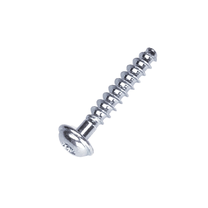 Vis T50X28 5205247-01 dans le groupe  chez GPLSHOP (5205247-01)