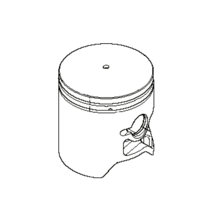 Piston 5216238-01 dans le groupe  chez GPLSHOP (5216238-01)