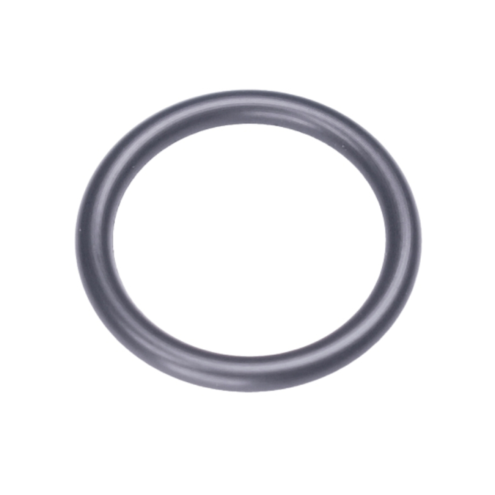 Joint Torique 16.6X2.4 5237693-01 dans le groupe  chez GPLSHOP (5237693-01)