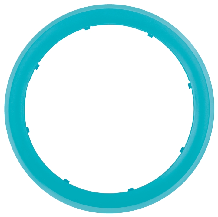 Bague extérieure turquoise dans le groupe chez GPLSHOP (5298883-01)