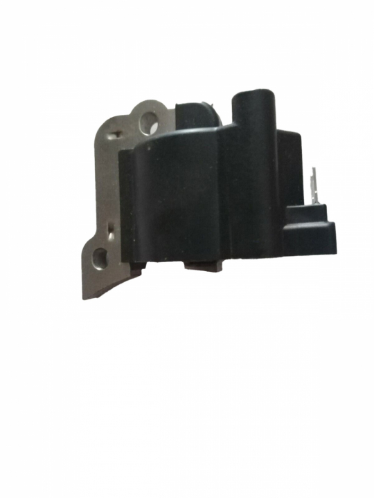 Module d'allumage 5310047-31 dans le groupe  chez GPLSHOP (5310047-31)