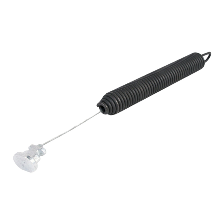 Plume 5321748-82 dans le groupe  chez GPLSHOP (5321748-82)