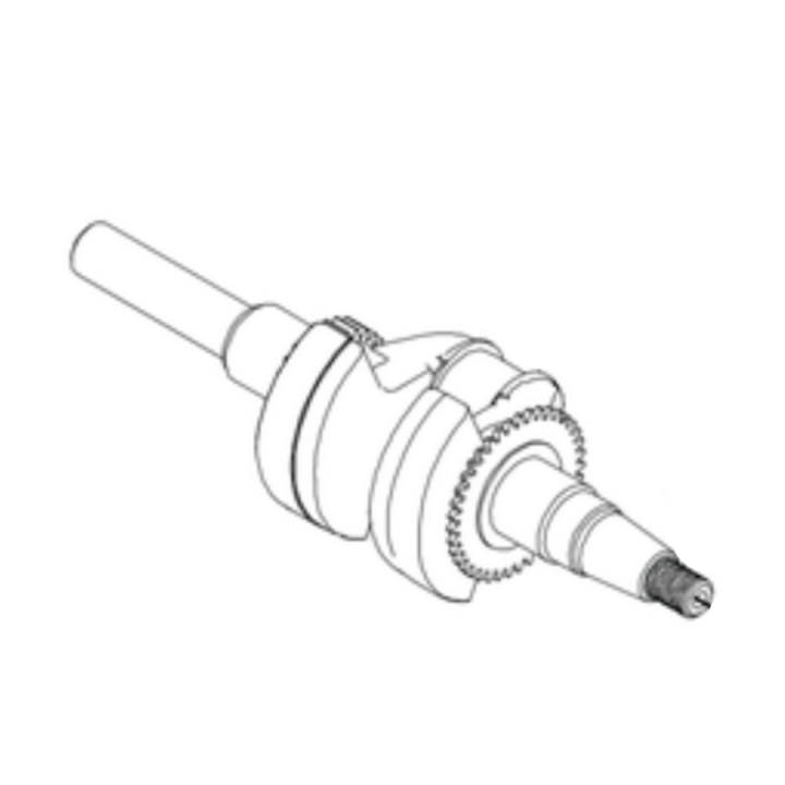 Vilebrequin dans le groupe chez GPLSHOP (5401955-01)