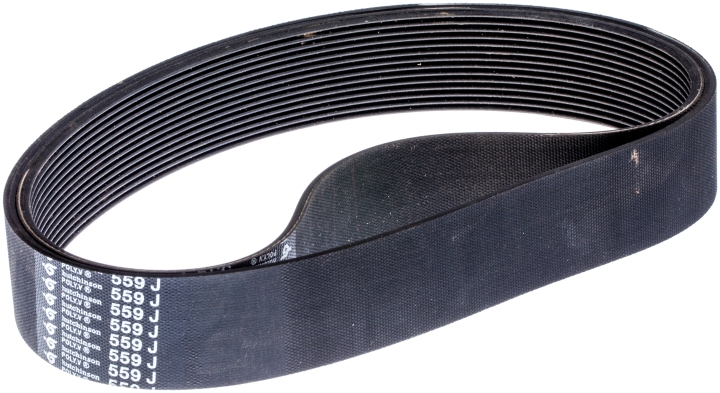 Sangle 5438503-68 dans le groupe  chez GPLSHOP (5438503-68)