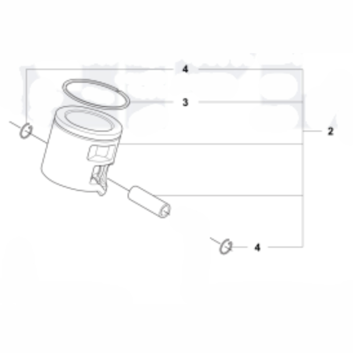  dans le groupe  chez GPLSHOP (5461080-04)