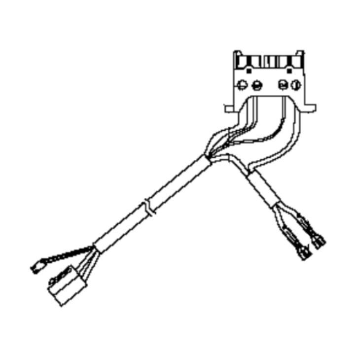  dans le groupe  chez GPLSHOP (5796866-01)