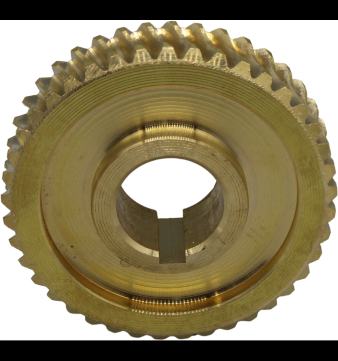 Coquille 5803641-01 dans le groupe  chez GPLSHOP (5803641-01)