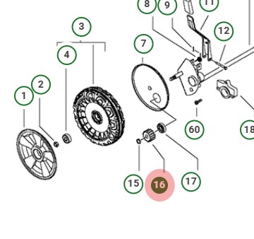 Pignon PM, 11 dents, racine D de 21,25 mm dans le groupe chez GPLSHOP (5827017-01)