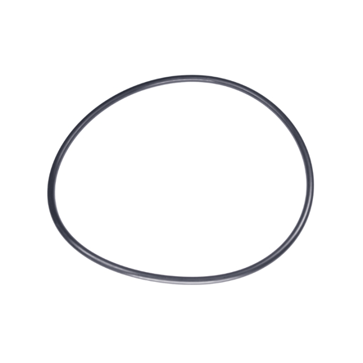 Joint Torique 160X5.5 5885243-01 dans le groupe chez GPLSHOP (5885243-01)