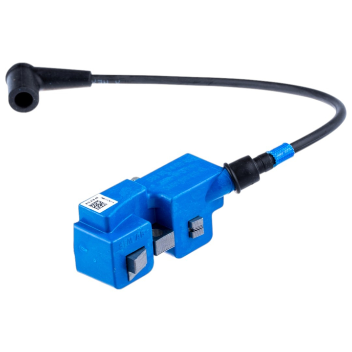 Module D'Allumage 5889374-03 dans le groupe  chez GPLSHOP (5889374-03)