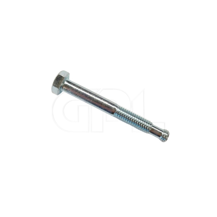 Boulon Spécial dans le groupe chez GPLSHOP (5897800-01)