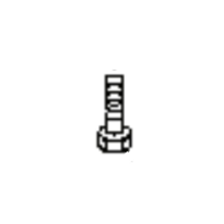 Vis Torx , 1/4-20-1, dans le groupe  chez GPLSHOP (5901057-01)