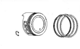  dans le groupe  chez GPLSHOP (590662)