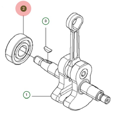 dans le groupe chez GPLSHOP (5976107-01)