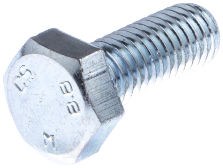 Vis dans le groupe chez GPLSHOP (7252450-51)