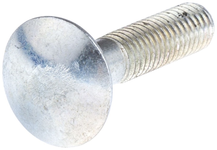 Vis dans le groupe chez GPLSHOP (7276457-01)