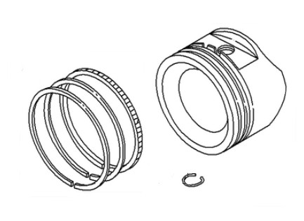  dans le groupe  chez GPLSHOP (793560)