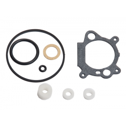 Gasket kit 498261