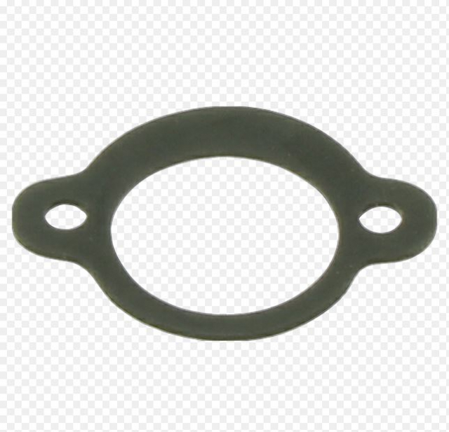 Joint Filtre A Air 5018156-01