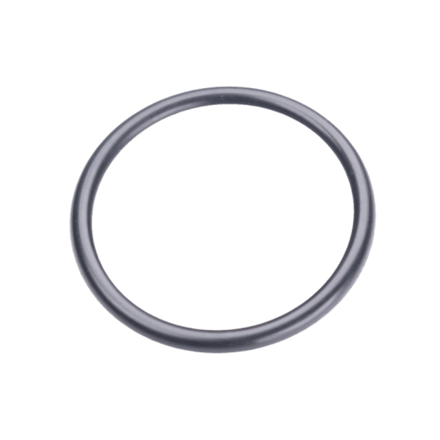 Joint Torique 21.5X1.5 5203999-01