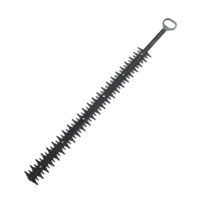 Taille De Haie, Cpl 5204640-01