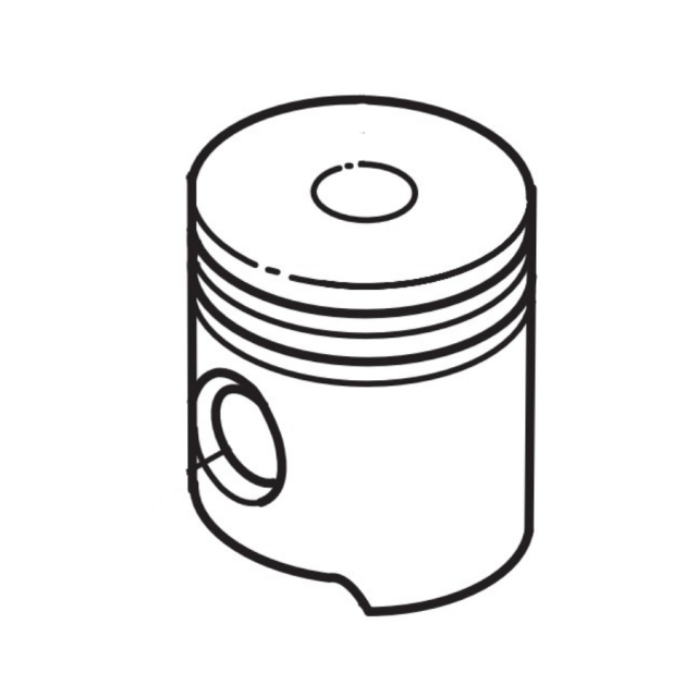Piston Kpl 5310049-30