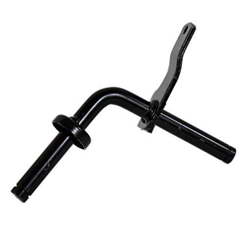 Araignée 5321564-83