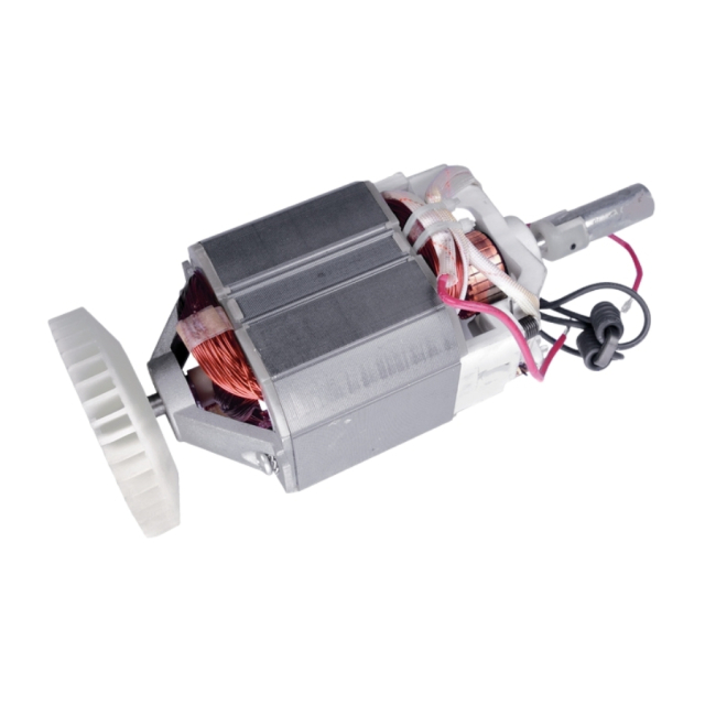 Moteur Électrique 5747262-01