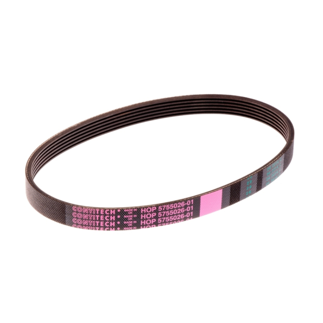 Sangle 5755026-01
