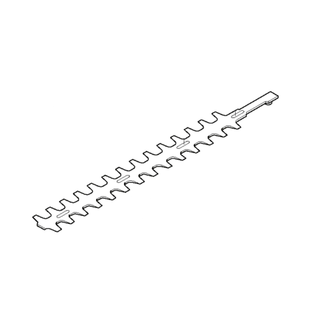 Fond De Feuille 5762060-01