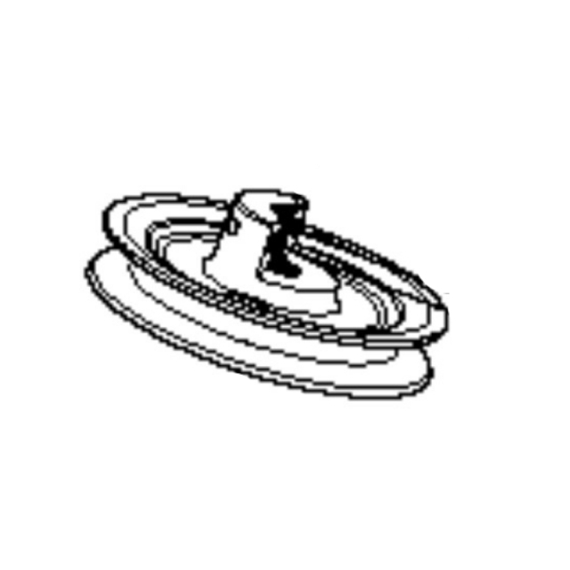 Poulie Complete Pompe 5770026-01