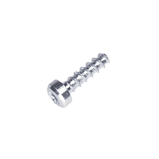 Vis St4.2*15B 5828555-01
