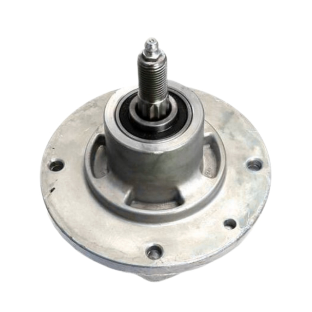 Araignée 5873973-01