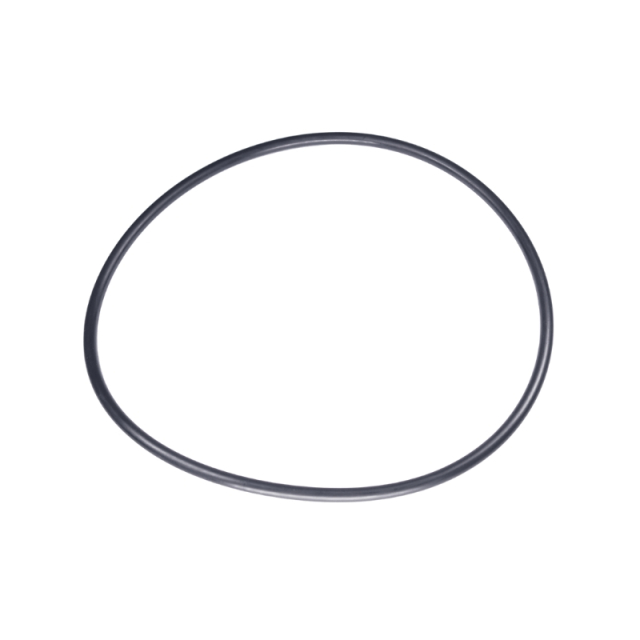 Joint Torique 160X5.5 5885243-01