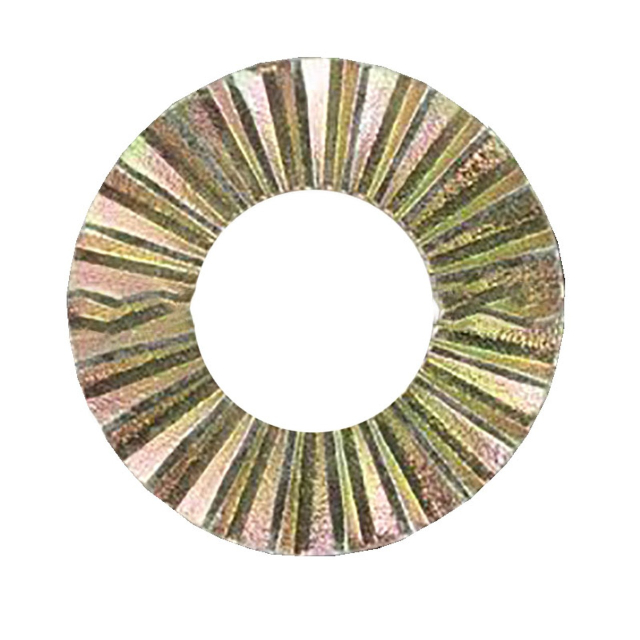 Rondelle de blocage dentelée Ex