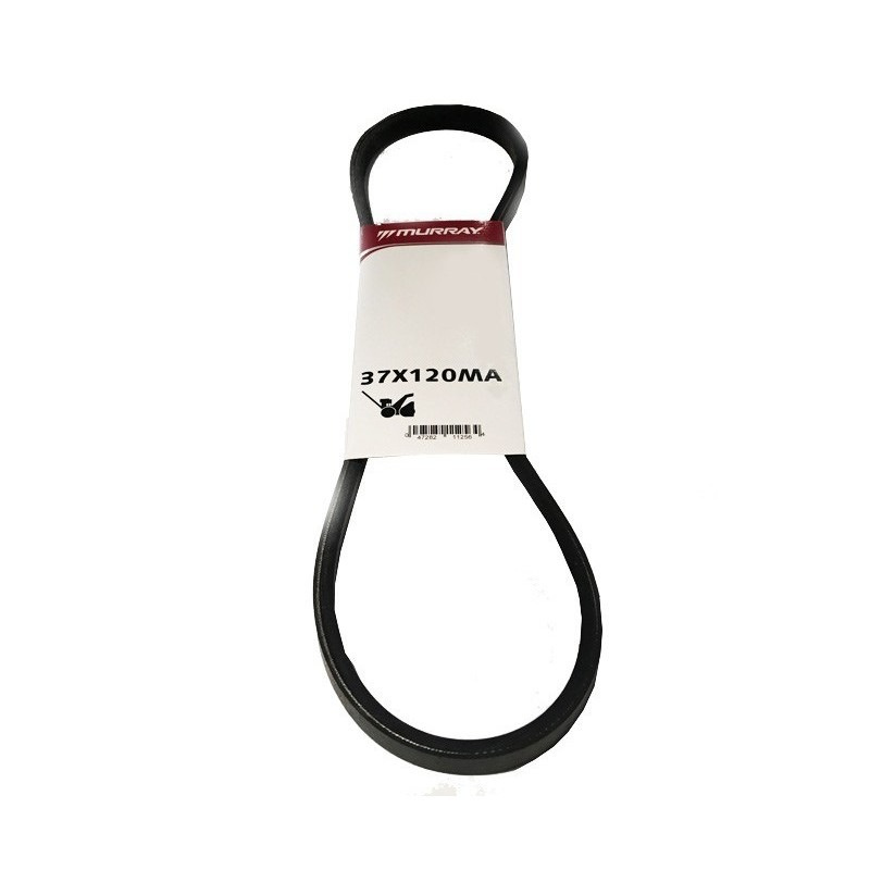 Courroie trapézoïdale