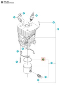 Segment De Piston Husqvarna 455 Rancher, Jonsered CS2255 Segment De Piston Husqvarna 455 Rancher, Jonsered CS2255