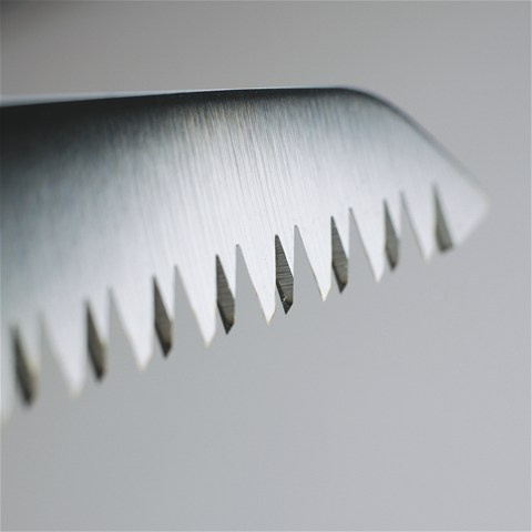 Scie d'élagage droite 240mm