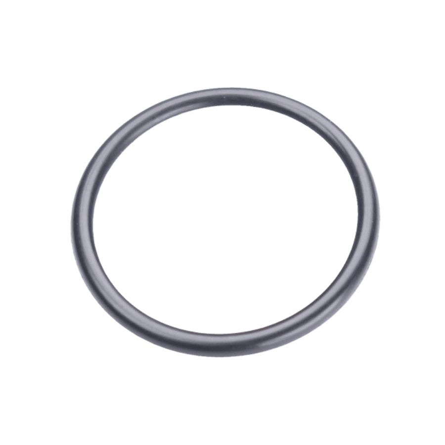Joint Torique 21.5X1.5 5203999-01
