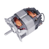 Moteur Électrique 5204385-01 Moteur Électrique 5204385-01