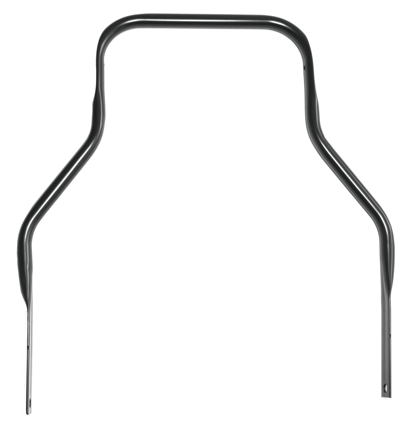 Guidon