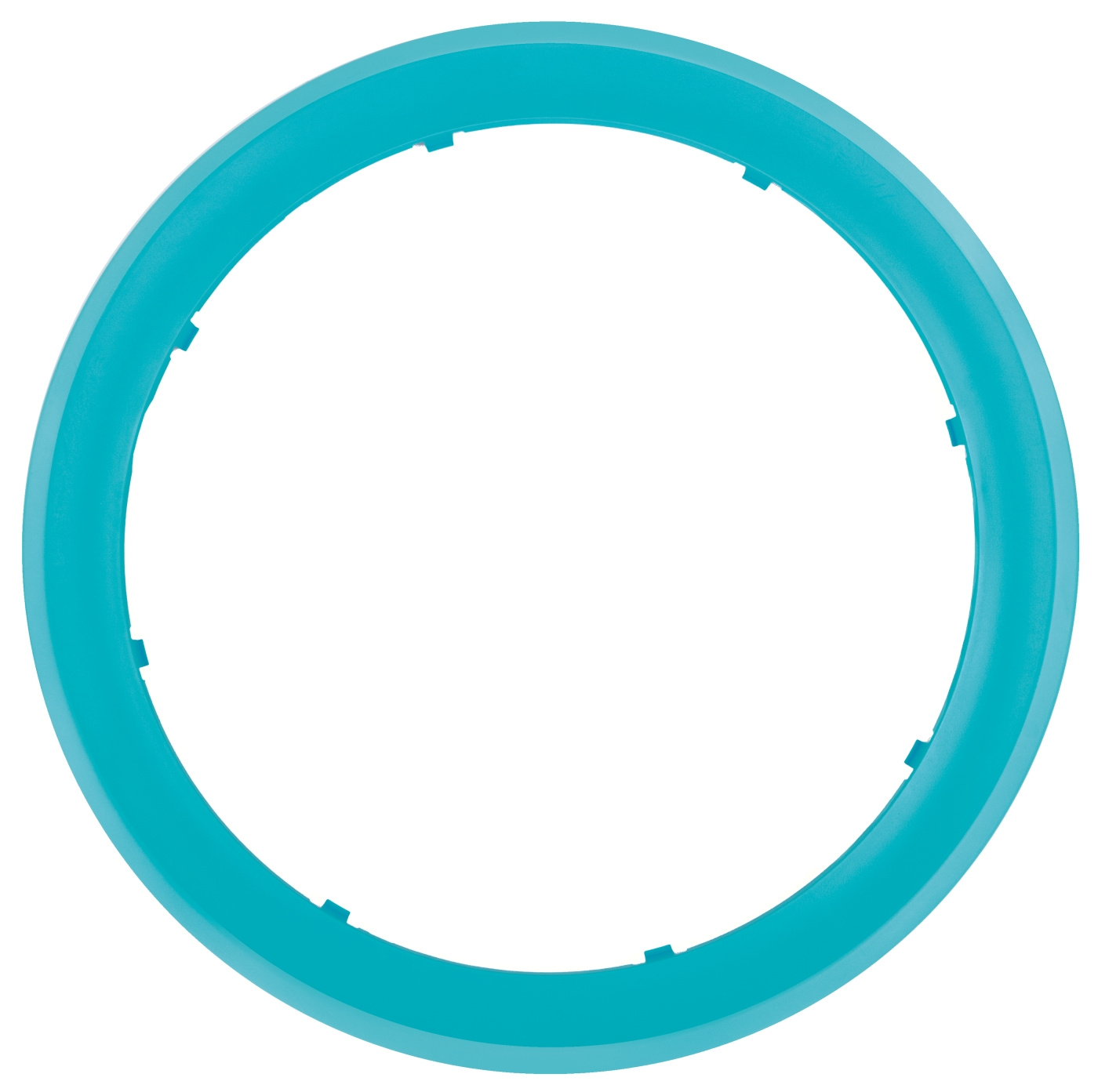 Bague extérieure turquoise