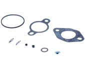 Kit De Reparation Carburateur 5310296-08 Kit De Reparation Carburateur 5310296-08