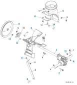 Action 5321889-09 Action 5321889-09