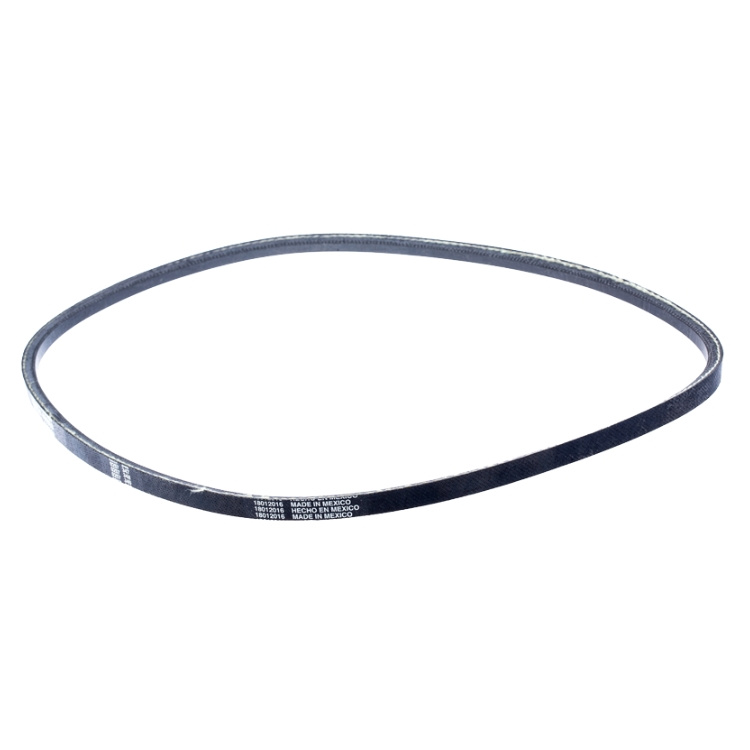 courroie trapézoïdale