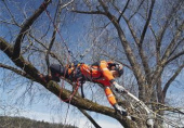 Harnais d'escalade arboriste Husqvarna Harnais d'escalade arboriste Husqvarna